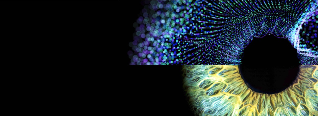 Data Science Service